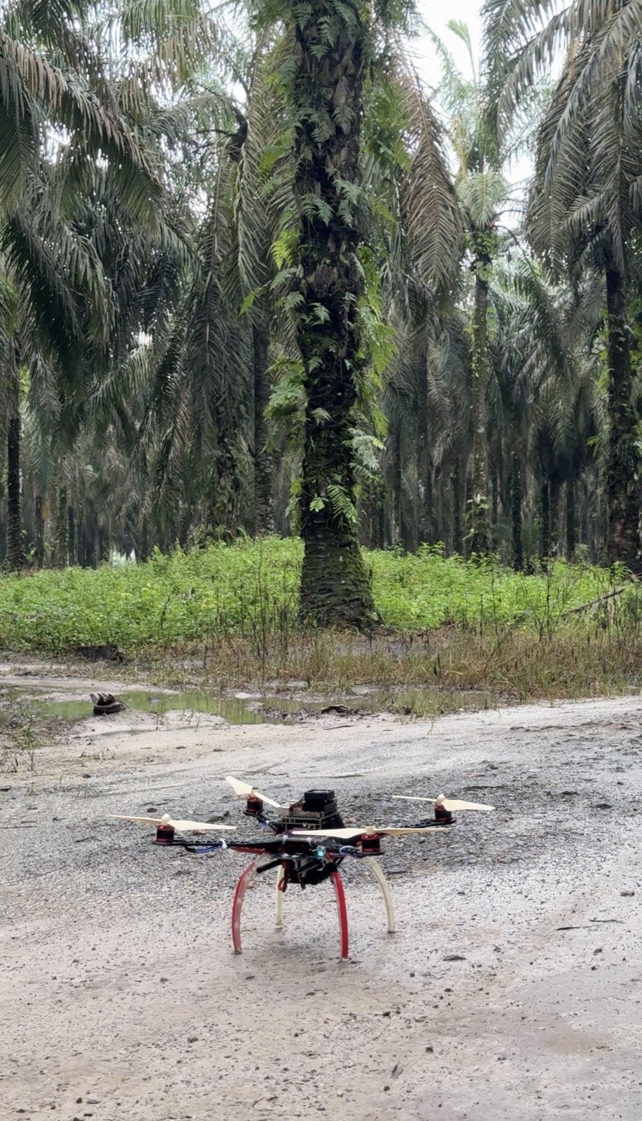 TANDAN drone, front view on a plantation road